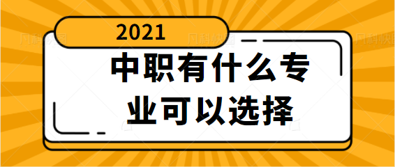 中职有什么专业可以选择