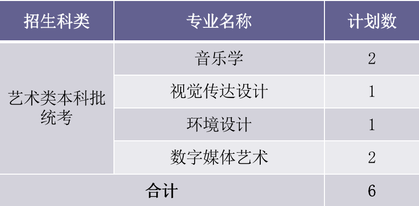 2022厦门华厦学院艺术类招生计划