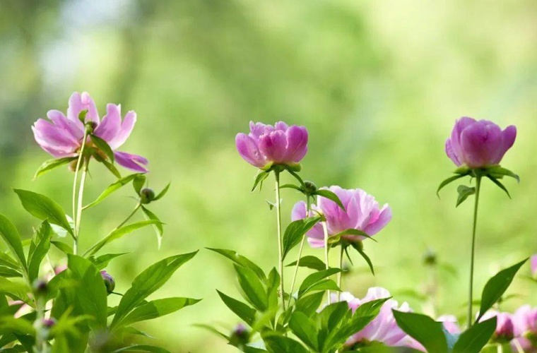 莆田艺术设计学校