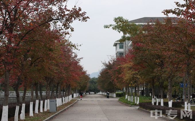 福建江夏韦德网站官方入口-校园风景8